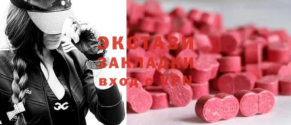 шишки Магас