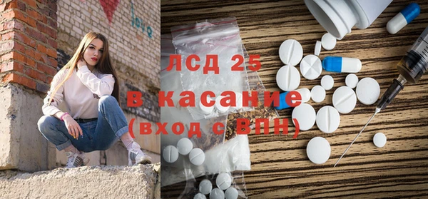 шишки Магас