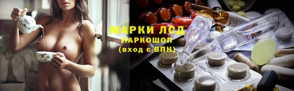 шишки Магас