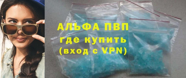 шишки Магас