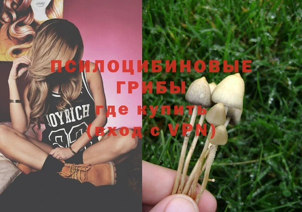 spice Заволжск